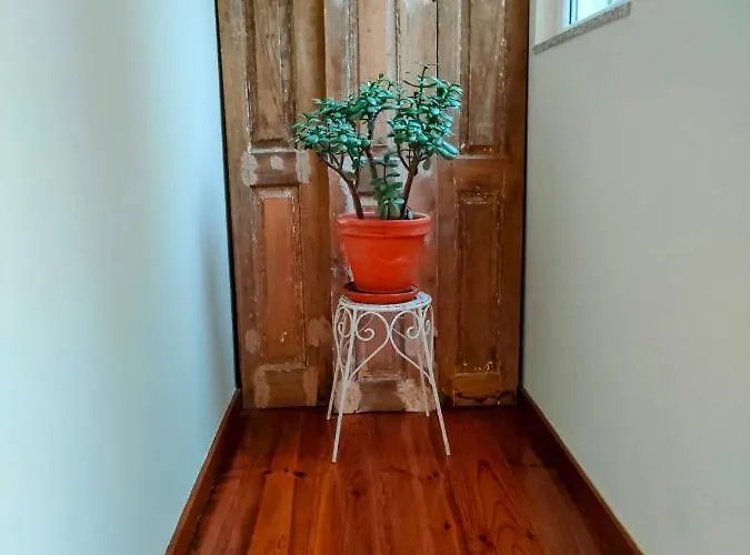 Main Square Penthouse Lägenhet *